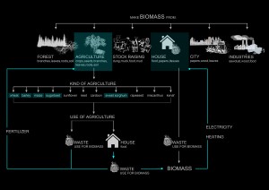 biomass diagram